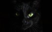 Cultural Insights: Understanding the Origins of Everyday Superstitions